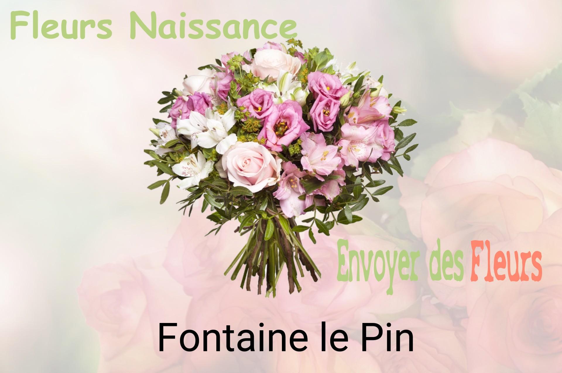 Bouquet de fleurs de naissance livré à Fontaine-le-Pin